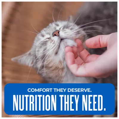 Tiki Cat Silver Comfort Senior Wet Cat Food - Grain Free, Puree, 6 Oz. - Image 3