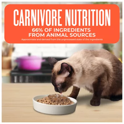 Tiki Cat® Born Carnivore Indoor Health Cat Food - Grain & Potato Free, High Protein - Image 4