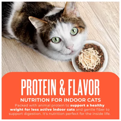 Tiki Cat® Born Carnivore Indoor Health Cat Food - Grain & Potato Free, High Protein - Image 7