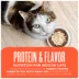 Tiki Cat® Born Carnivore Indoor Health Cat Food - Grain & Potato Free, High Protein image thumbnail 7