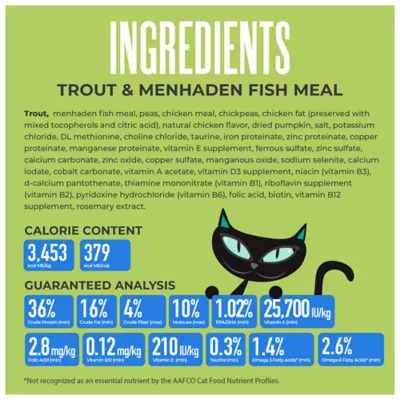 Tiki Cat® Born Carnivore® Indoor Health Dry Cat Food - High Protein, Non-GMO, Trout & Menhaden Fish - Image 3
