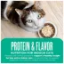 Tiki Cat® Born Carnivore® Indoor Health Dry Cat Food - High Protein, Non-GMO, Trout & Menhaden Fish image thumbnail 7