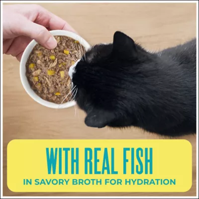 Tiki Cat Adult Cat Wet Food - Grain Free, Seafood Selects Mega Pack, 24 Ct - Image 5