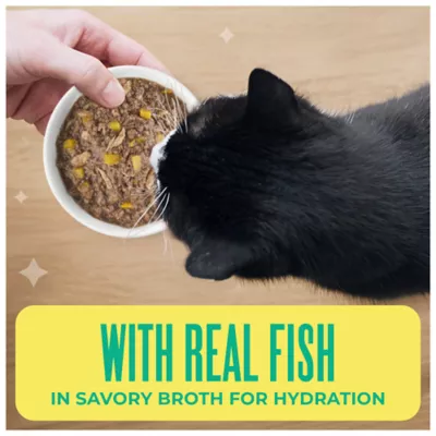 Tiki Cat Adult Cat Wet Food - Grain Free, Seafood Select, Mega Pack, 36 Ct - Image 5