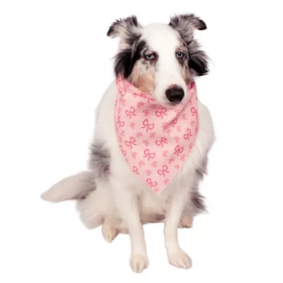 Buttons & Bones Everyday Bow Bandana - Image 3