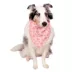 Buttons & Bones Everyday Bow Bandana image thumbnail 3