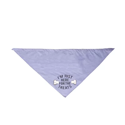 Buttons & Bones Chambray Treats Bandana - Image 1