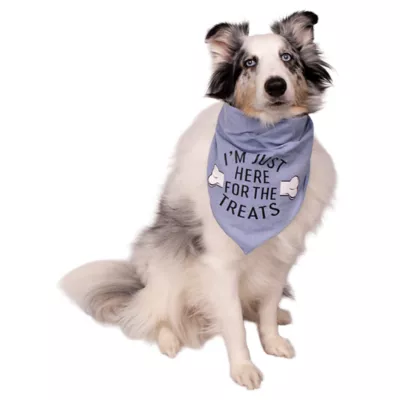 Buttons & Bones Chambray Treats Bandana - Image 3