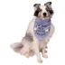 Buttons & Bones Chambray Treats Bandana image thumbnail 3