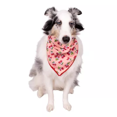 Buttons & Bones Cherries Bandana - Image 3