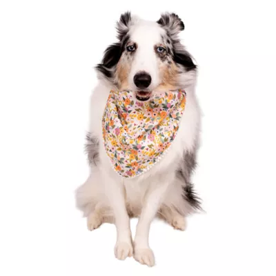 Buttons & Bones Everyday Floral Pom Bandana - Image 3