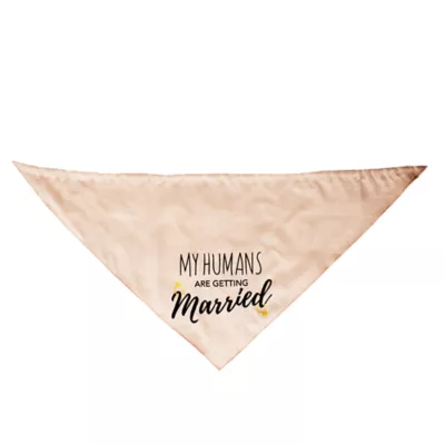 Celebrations Buttons & Bones Wedding Reversible Bandana - Image 2