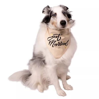 Celebrations Buttons & Bones Wedding Reversible Bandana - Image 3