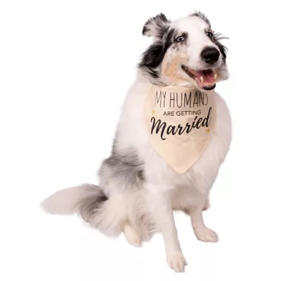 Celebrations Buttons & Bones Wedding Reversible Bandana - Image 4