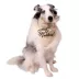 Celebrations Buttons & Bones Wedding Reversible Bandana image thumbnail 3