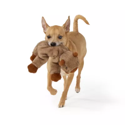 Joyhound Realistic Plush Capybara Squeaky Plush Dog Toy - Image 3