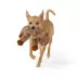 Joyhound Realistic Plush Capybara Squeaky Plush Dog Toy image thumbnail 3