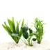 Top Fin® Live Plant Variety Pack - Small image thumbnail 1