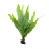 Top Fin® Live Plant Variety Pack - Small image thumbnail 2