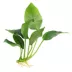 Top Fin® Live Plant Variety Pack - Small image thumbnail 3