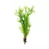 Top Fin® Live Plant Variety Pack - Small image thumbnail 4