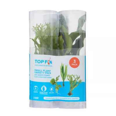 Top Fin® Live Plant Variety Pack - Small - Image 5