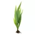 Top Fin® Live Plant Variety Pack - Medium image thumbnail 2