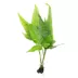 Top Fin® Live Plant Variety Pack - Medium image thumbnail 4