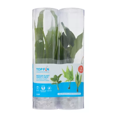 Top Fin® Live Plant Variety Pack - Medium - Image 5