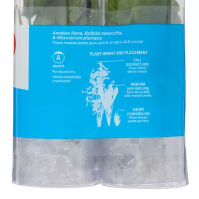 Top Fin® Live Plant Variety Pack - Medium - Image 6