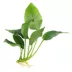 Top Fin® Live Plant Variety Pack - Small, Medium & Large image thumbnail 3