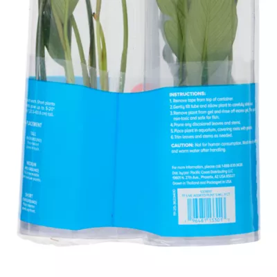 Top Fin® Live Plant Variety Pack - Small, Medium & Large - Image 7