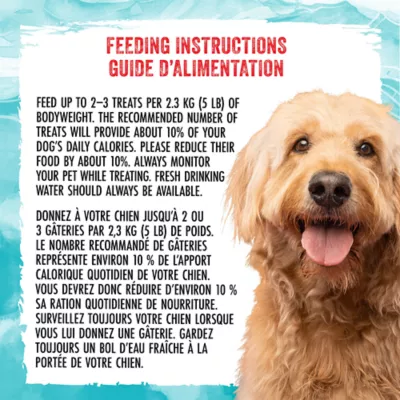 Milk-Bone Dog Soft & Chewy Treats Mini's Salmon Recipe 252 g - Image 7