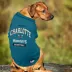 Pets First Charlotte Hornets Tee image thumbnail 4