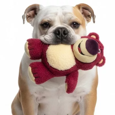 GMASON Toy Story Lotso Plush Dog Toy - Image 5