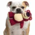 GMASON Toy Story Lotso Plush Dog Toy image thumbnail 5
