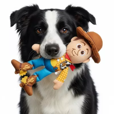 GMASON Toy Story Woody Plush Dog Toy - Image 5