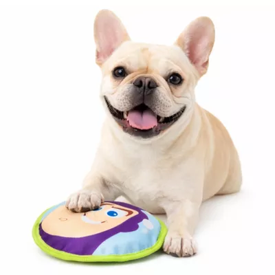 GMASON Toy Story Buzz Flyer Dog Toy - Image 5