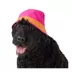 Top Paw® Dog Bucket Hat image thumbnail 1