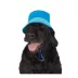 Top Paw® Dog Bucket Hat image thumbnail 1