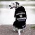 Pets First Sacramento Kings T-Shirt image thumbnail 3