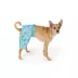 Top Paw® Dino Dog Swim Trunks image thumbnail 1