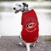 Pets First Carolina Hurricanes Tee image thumbnail 3