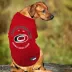 Pets First Carolina Hurricanes Tee image thumbnail 4