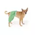 Top Paw® Dog Swim Trunks, Green image thumbnail 1