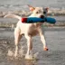 GURU Pirate Fry Guy Billy Plush Dog Toys image thumbnail 2