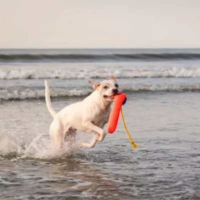 GURU Snorkling Fry Guy Kevin Plush Dog Toys - Image 5