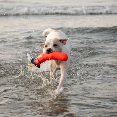 GURU Snorkling Fry Guy Kevin Plush Dog Toys - Image 8