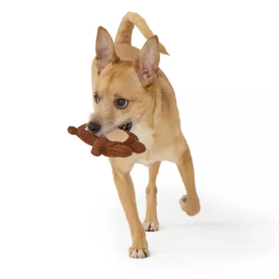 Joyhound Biteshield Plush Bear Squeaky Plush Dog Toy - Image 3