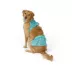 Top Paw® Dino Dog Bikini image thumbnail 1